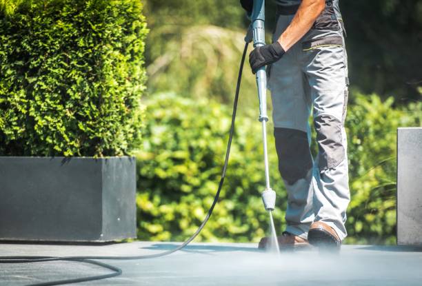 Best Driveway Pressure Washing  in Blue Ridge, AL